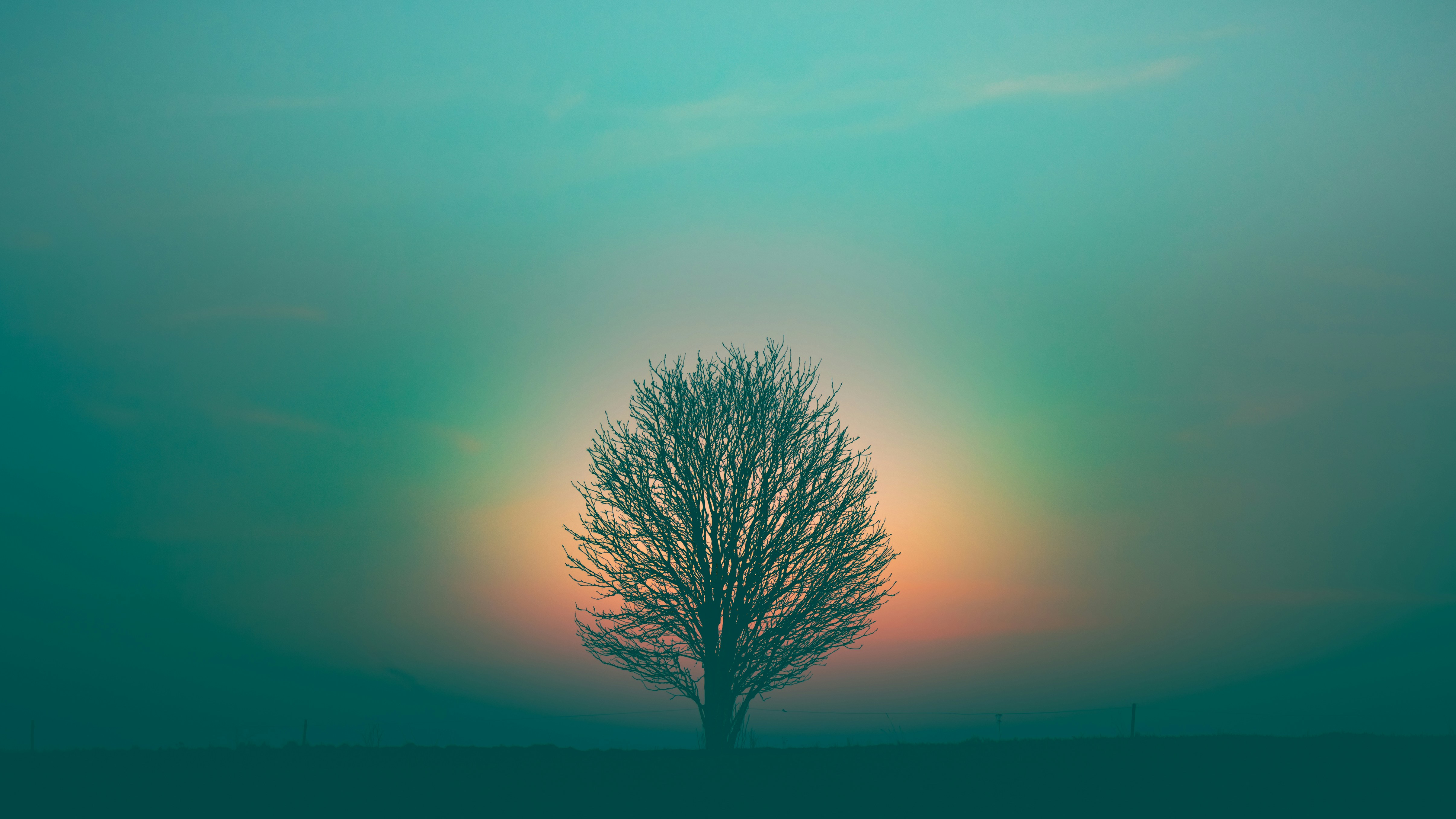 灵性探索:人类五个自我意识层面 Spiritual Exploration: The Five Levels of Human Consciousness